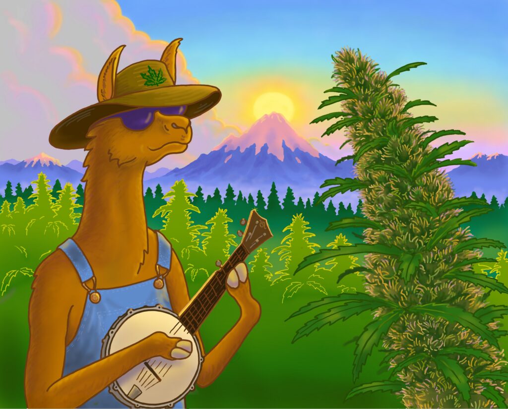 The Down OM alpaca playing banjo in front of the mountains