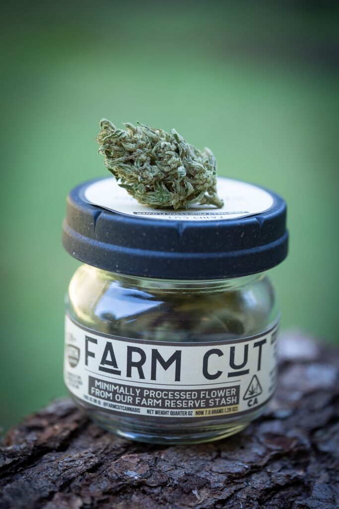 Down OM flower in a Farm Cut jar